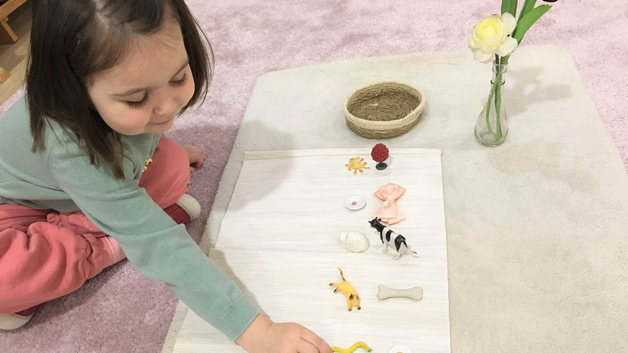 Ses Çalışmaları